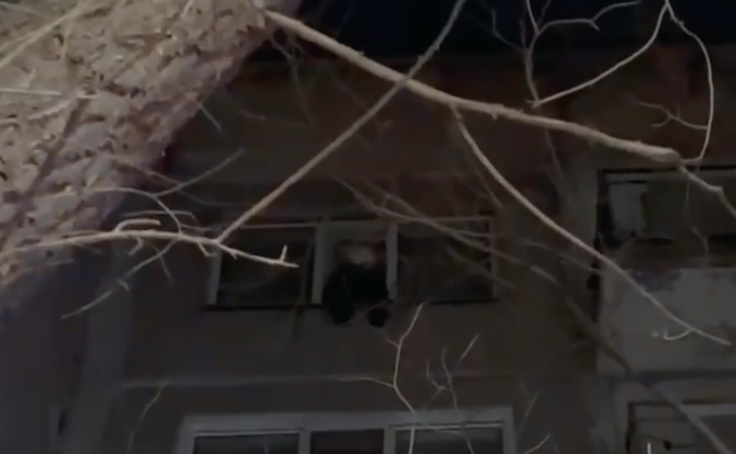 Қарағандыда құтқарушылар терезе алдында отырған баланы аман алып қалды