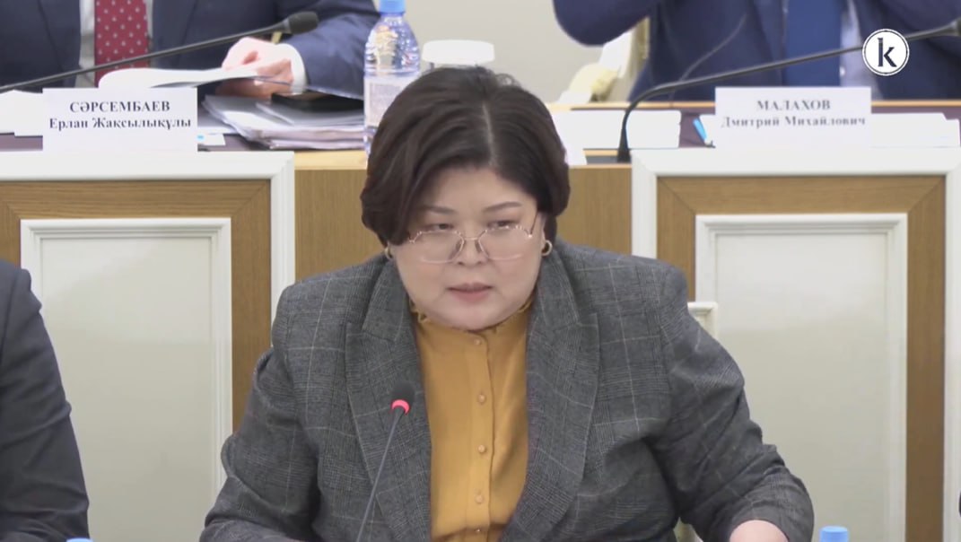 Эльвира Әзімова: Комиссия хатшылығына 4 мыңнан астам ұсыныс келген