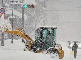 Жапонияда жауған қалың қар салдарынан 40-тан астам адам қаза тапты