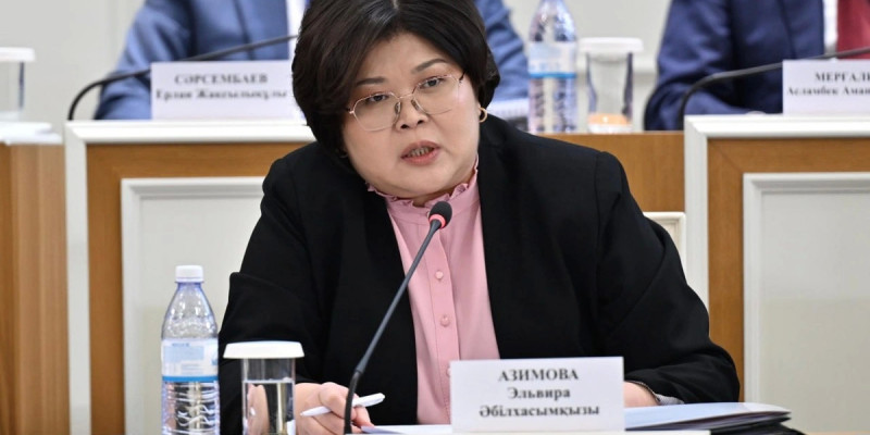 Эльвира Әзімова: Жаңа Конституция Қазақстандағы әділдік, тұрақтылық және қоғамдық сенімнің берік іргетасына айналады