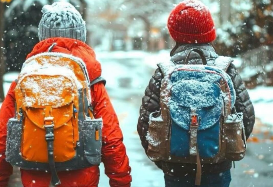 Бүгін Астанада бірінші ауысым оқушылары онлайн оқиды