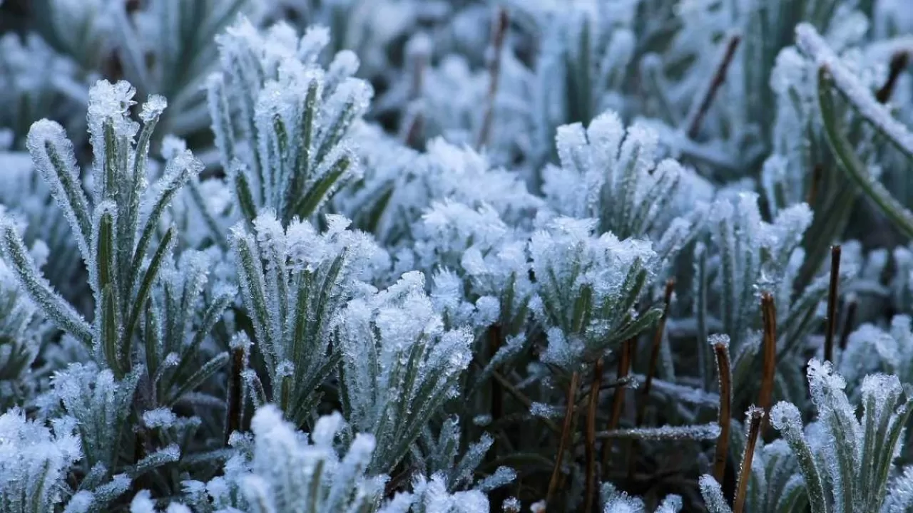 Қазақстанда күн күрт суытады