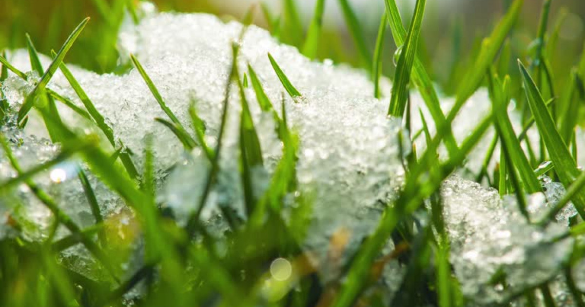 Қазақстан халқы наурыз айында қанша күн демалады?