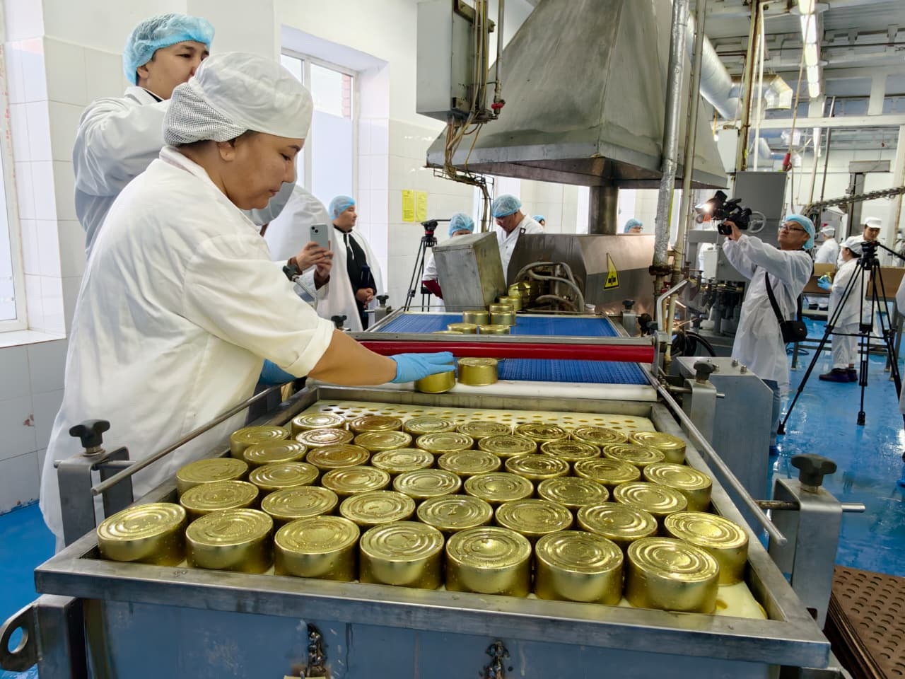 Бұқтырылған киік еті саудаға шықты