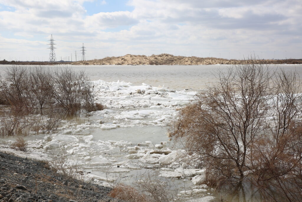 Алаңдауға негіз жоқ