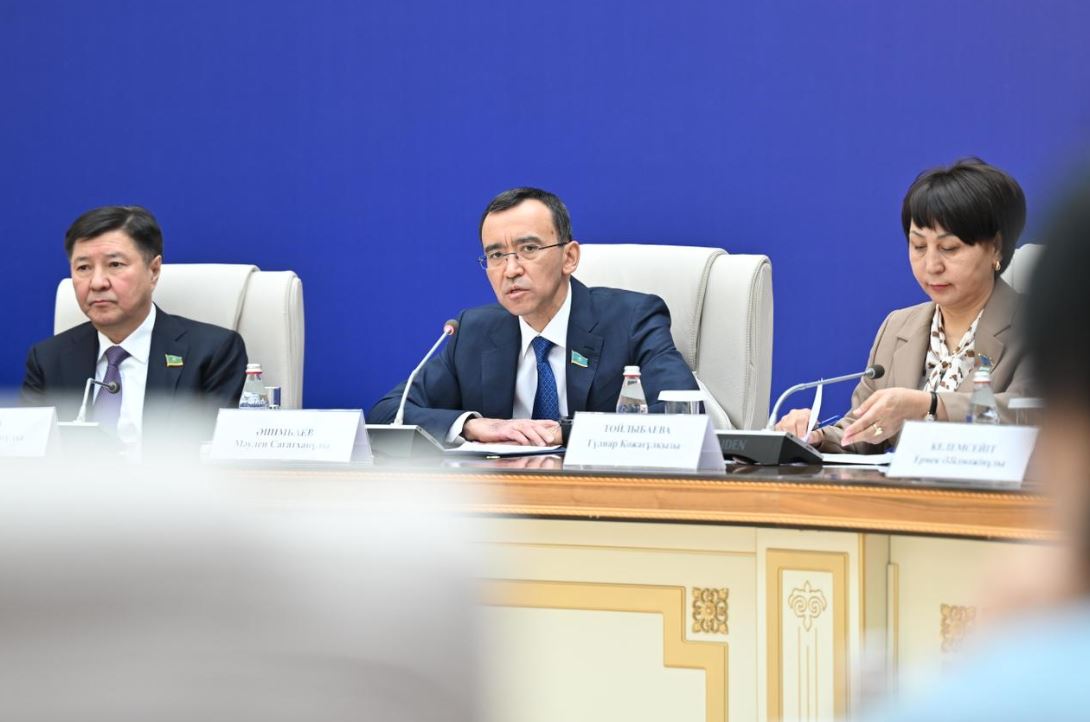 Мәулен Әшімбаев алдағы референдумды еліміздің тұрақты дамуының іргетасы деп атады