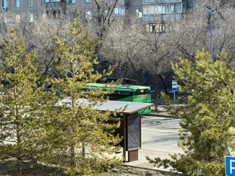 Жетісуда қоғамдық көлік тегін қызмет көрсетіп жатыр