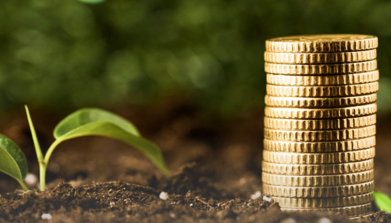 Көктемгі егіс науқаны: Биыл қанша фермер жеңілдетілген несие алды?