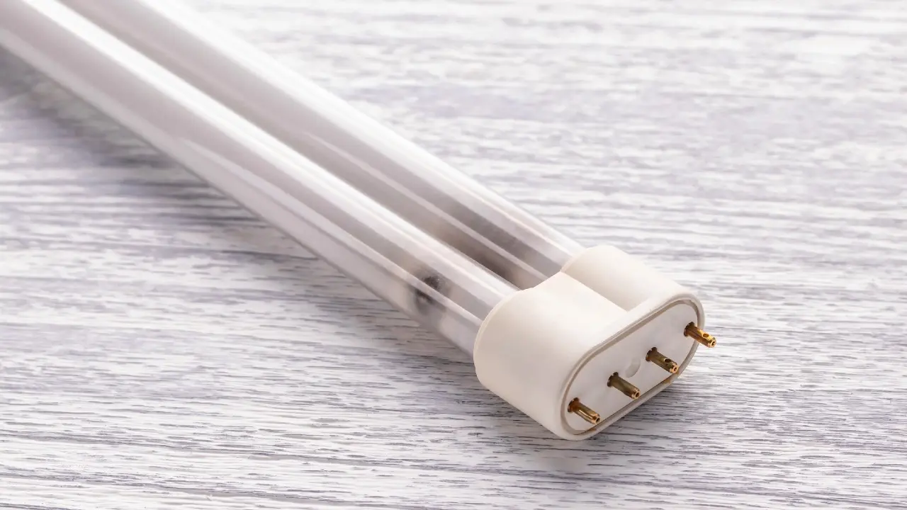 Жетісу облысындағы балабақшада қауіпті қалдықтар сақталған