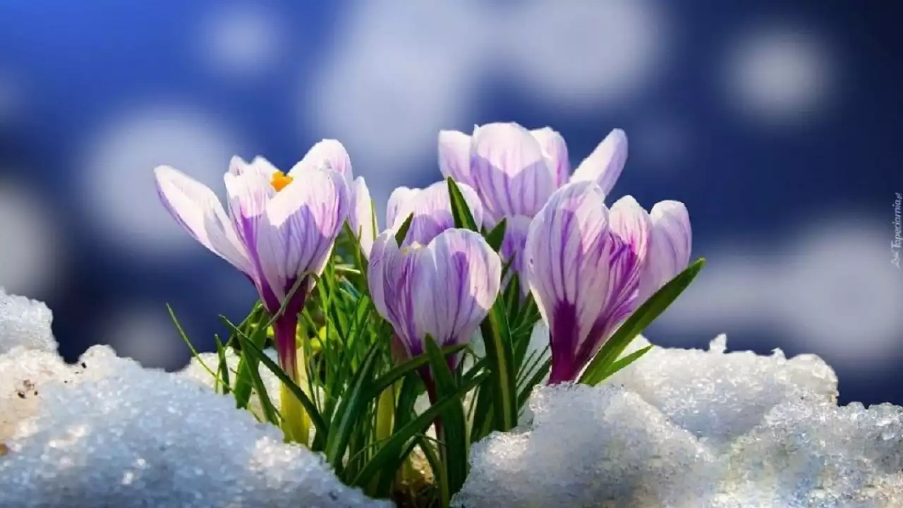 19 наурызда ел аумағында күн ашық болады