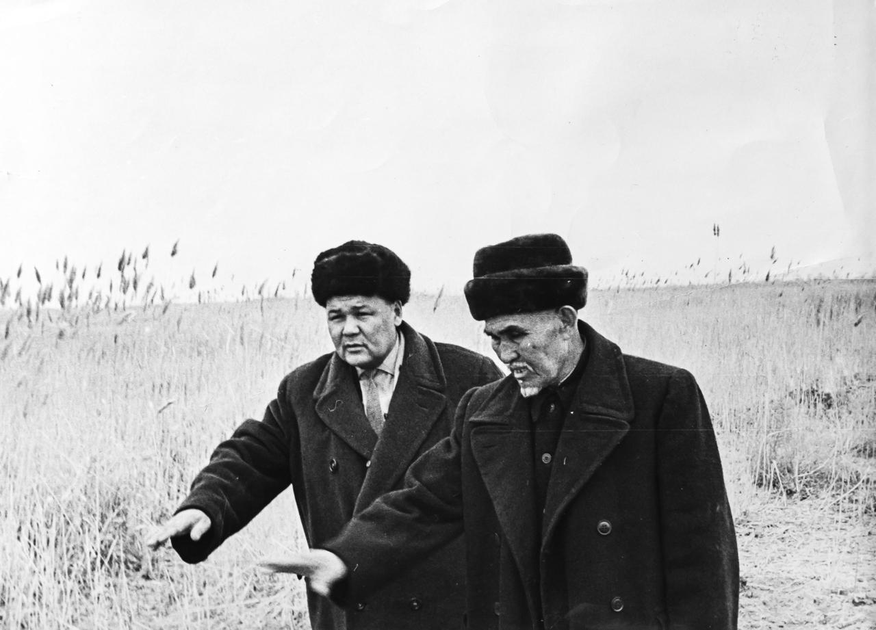 Нөкерсіз жүрген, нөсерге төзген