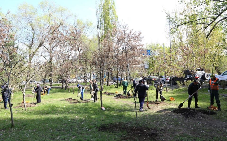 «Таза Қазақстан»: Биыл Алматыда 550 мыңнан астам ағаш отырғызылады