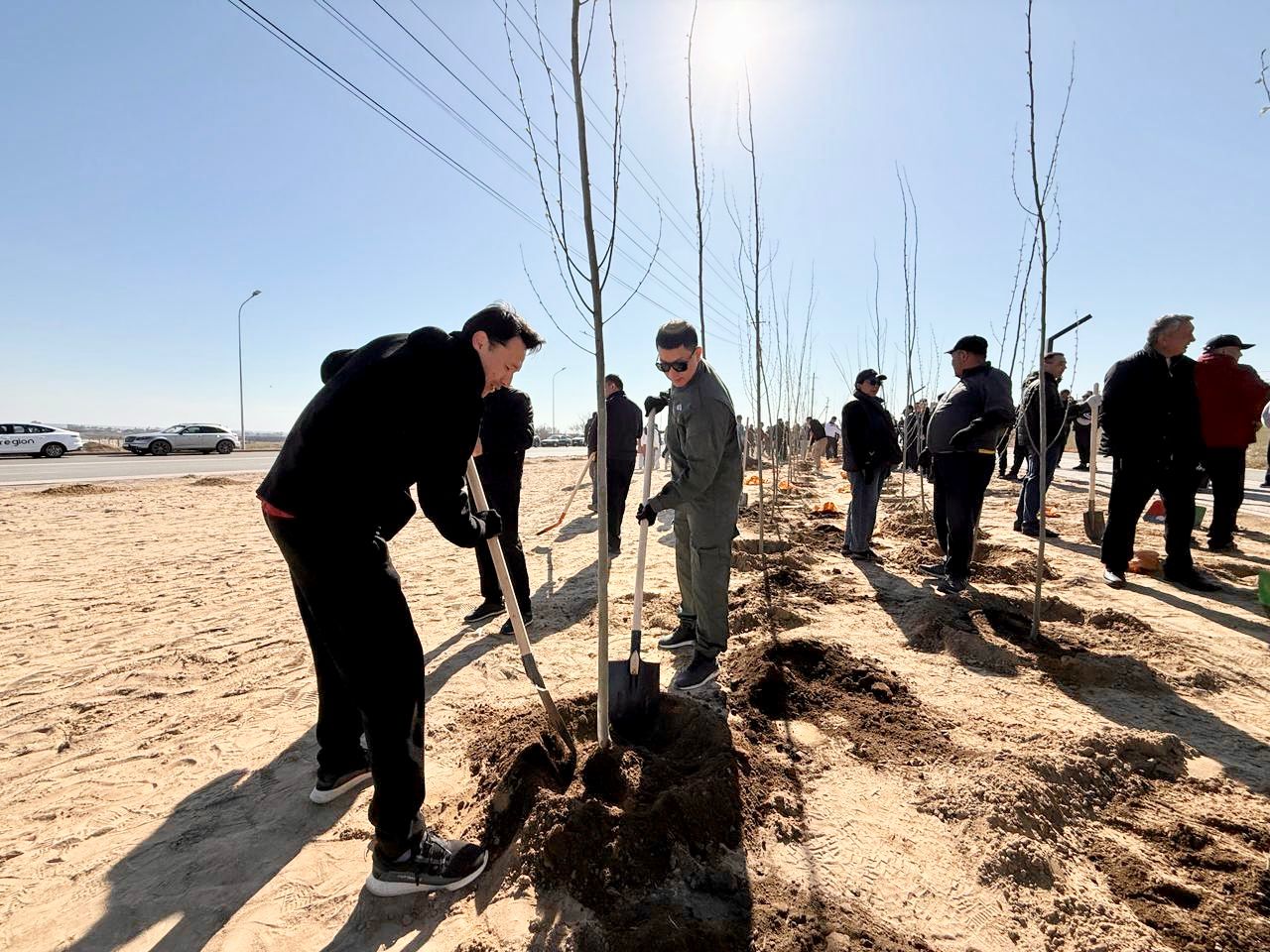 3000 түп ағаш егілді