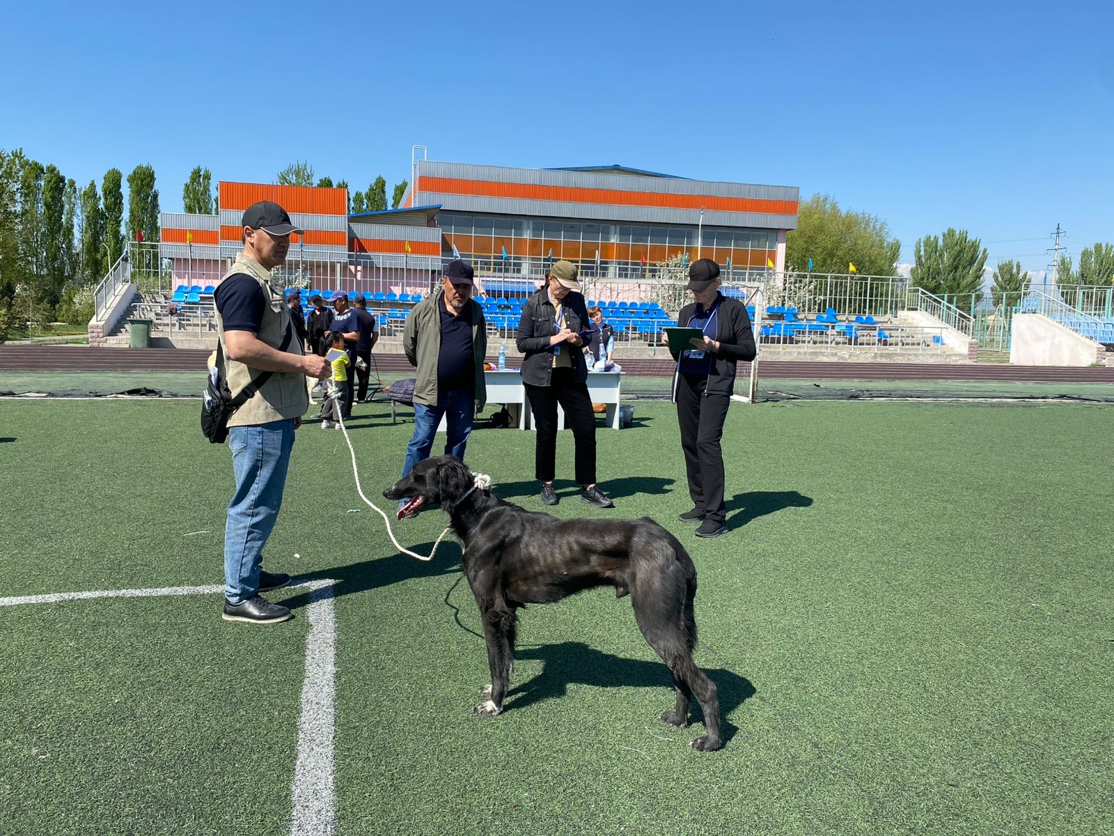 Екі облыста тазы тұқымын анықтауға арналған байқау өтті