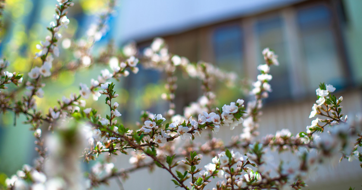 Жаңбыр, дауыл, тұман: Елімізде ауа райы күрт құбылады