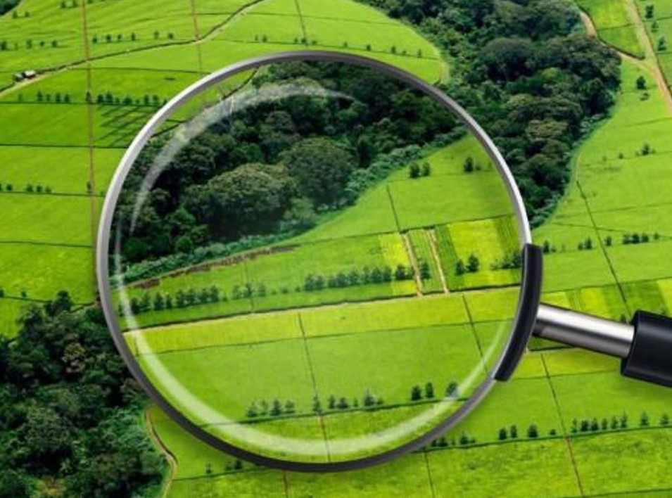 Атырау облысында жер учаскелері мемлекетке қайтарылды