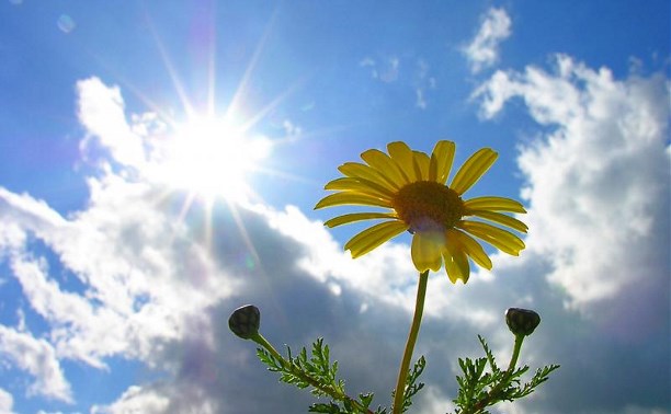 Солтүстікте жел күшейіп, оңтүстікте күн ысиды: 25 сәуірге арналған ауа райы болжамы