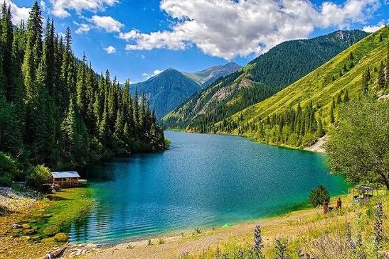 Көлсайдағы оқыс оқиға: Туристік микроавтобус беткейден құлап кетті