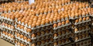 Қазақстан жұмыртқа импортына шектеу қойды: Нарықта отандық өнім үлесі артты