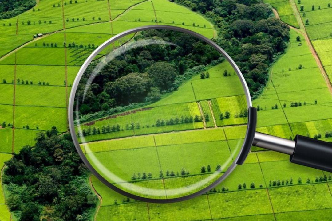 Қазақстанда 14,8 млн гектар жер мемлекет меншігіне қайтарылды