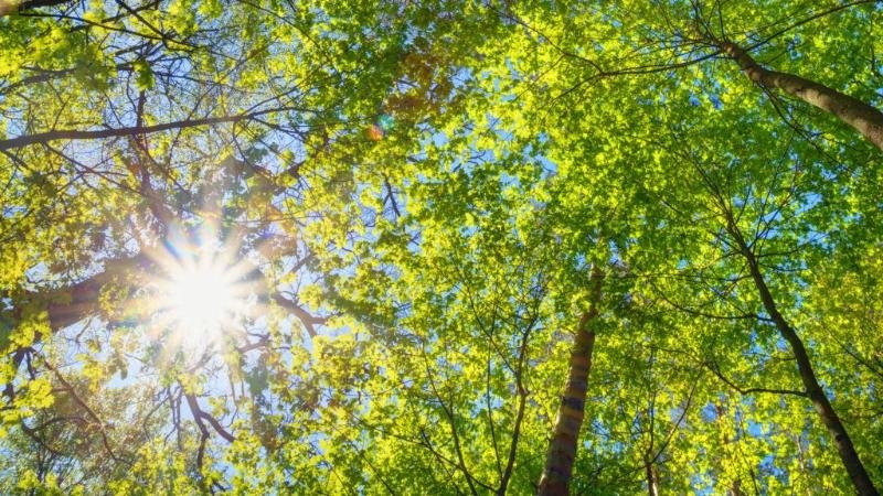 Бүгін сыртқа көп шықпаған жөн: Төрт қалада қолайсыз метеожағдай күтіледі