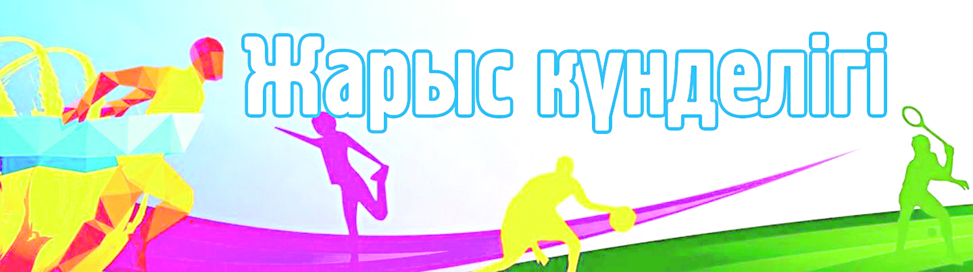 Жарыс күнделігі