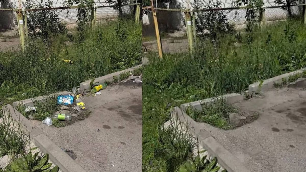 Алматыда қоқысты ЖИ арқылы тазалаған әкімдік қызметкері жұмысынан кетті